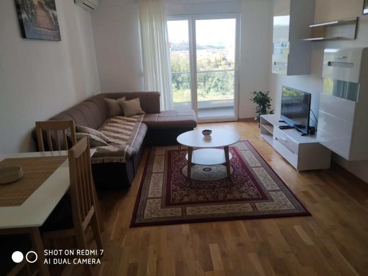 Renta apartman Podgorica Bagian luar foto