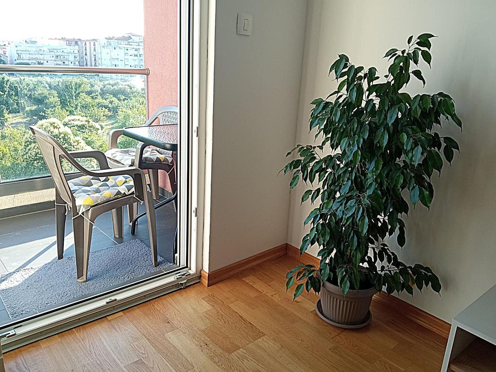 Renta apartman Podgorica Bagian luar foto